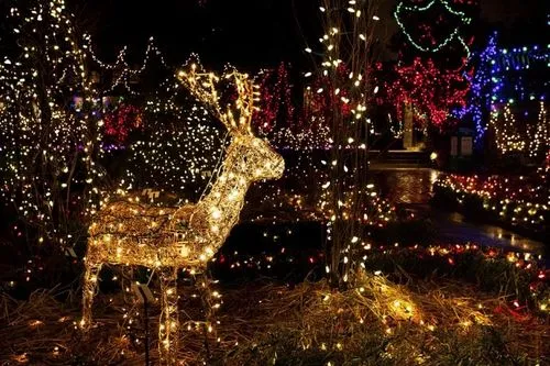 圣誕燈電池盒如何全自動化組裝電池片/開關/PCB板等配件